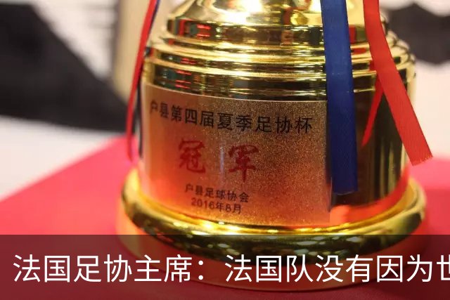 法国足协主席：法国队没有因为世界杯奖金问题而气氛紧张